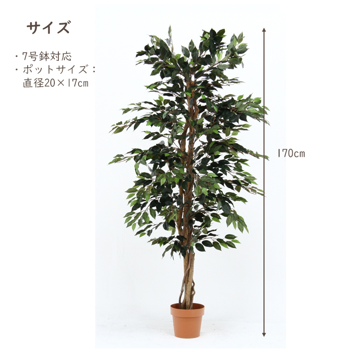 人工観葉植物 フィカス フェイクグリーン 大型 7号鉢 : インテリア