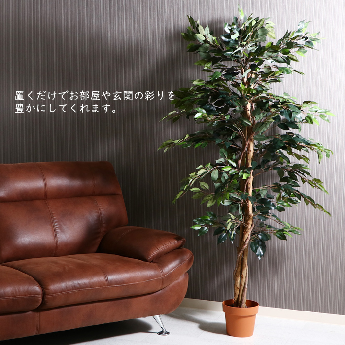 人工観葉植物 フィカス フェイクグリーン 大型 7号鉢 : インテリア