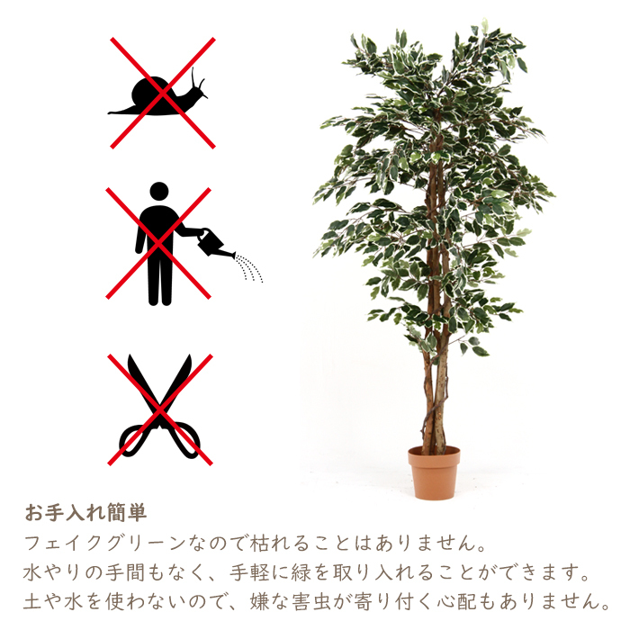 観葉植物 フェイク FICUS フィカス 人工観葉植物 フェイクグリーン フィカス 大型 7号鉢 : インテリア