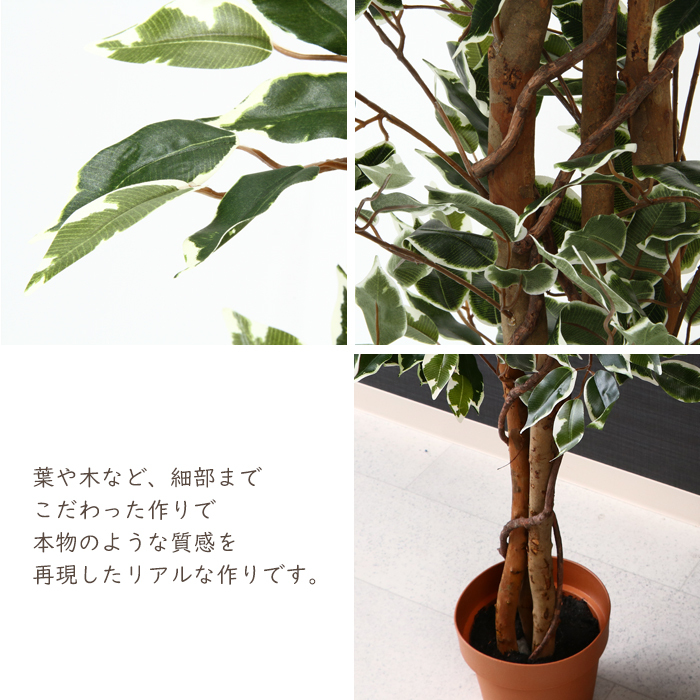 人工観葉植物 フェイクグリーン フィカス 大型 7号鉢 : インテリア
