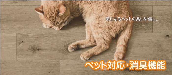 ペットカーペット