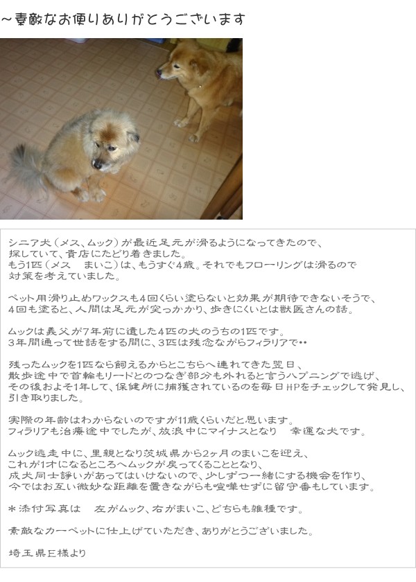 お客様より素敵お便りをいただきました。ありがとうございます。
