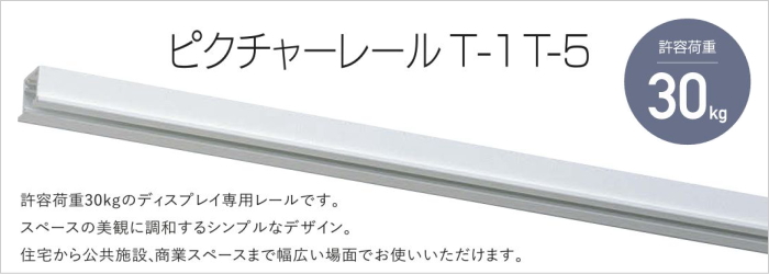 ピクチャーレールT-1 T-5レール