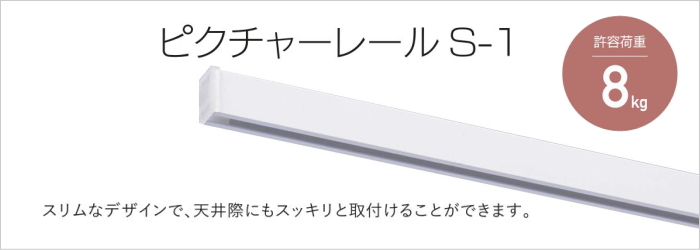 ピクチャーレールS-1レール