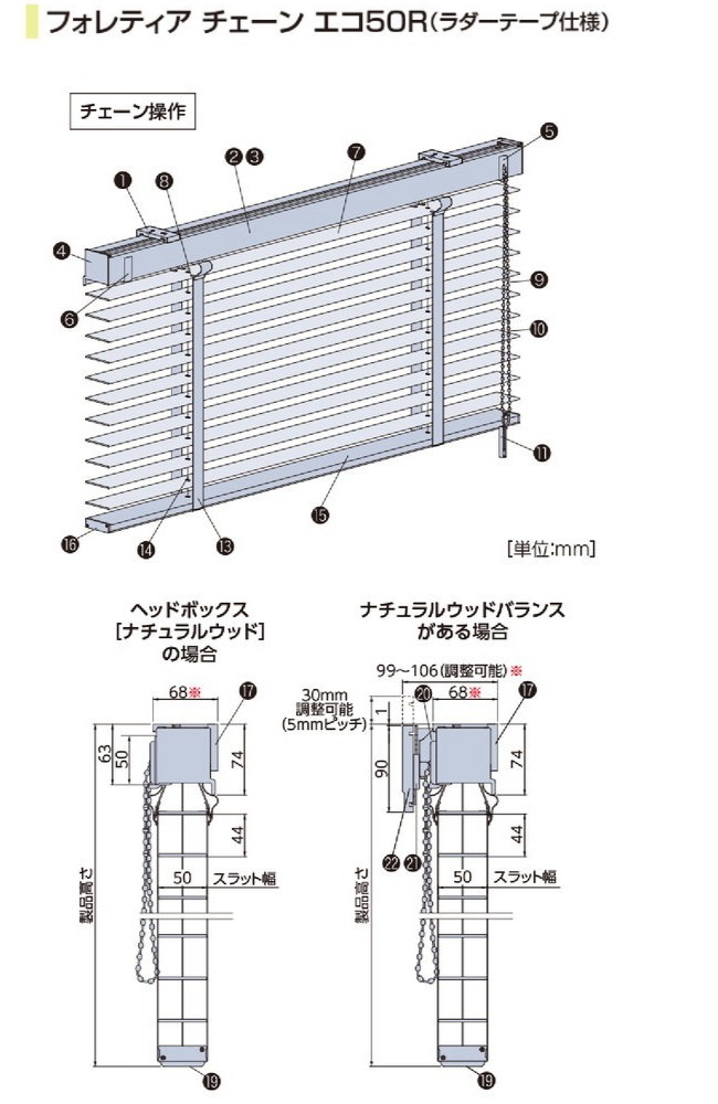 ウッドブラインド 木製 タチカワ フォレティア チェーンエコ50 エコ