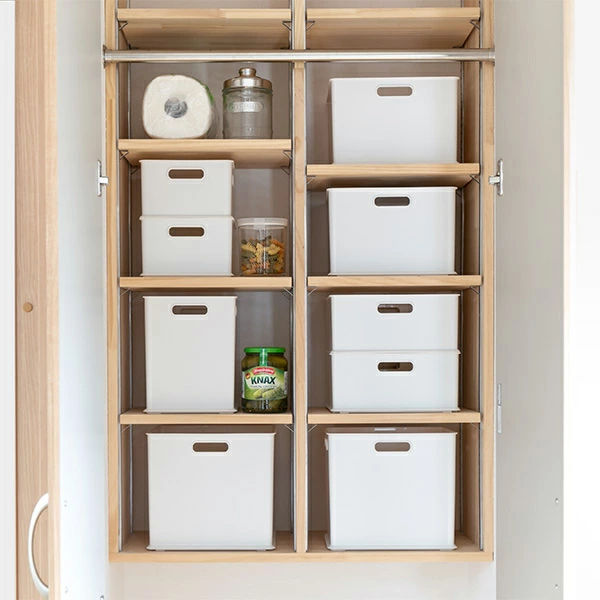 SANKA 収納ボックス 収納ケース ナチュラ インボックス SD 3個セット