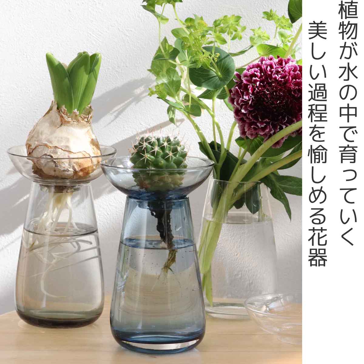 KINTO（キントー） アクアカルチャーベース 80mm （ 花器 AQUA CULTURE