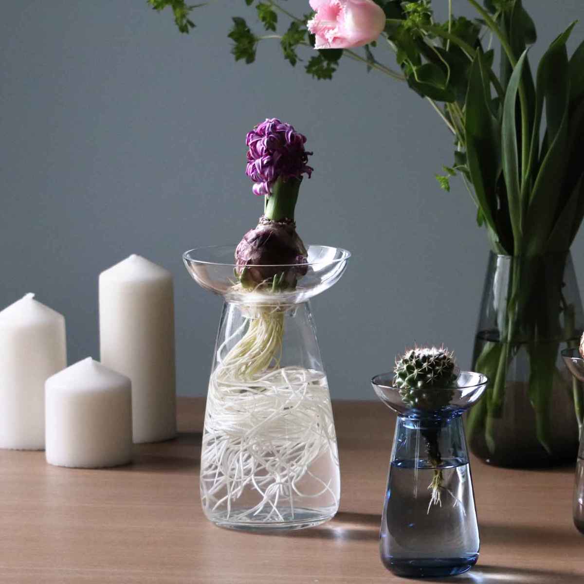 KINTO（キントー） アクアカルチャーベース 80mm （ 花器 AQUA CULTURE