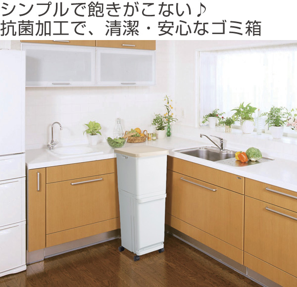 TONBO（新輝合成） ゴミ箱 60L 2段 ふた付き セパ 抗菌 分別 スリム