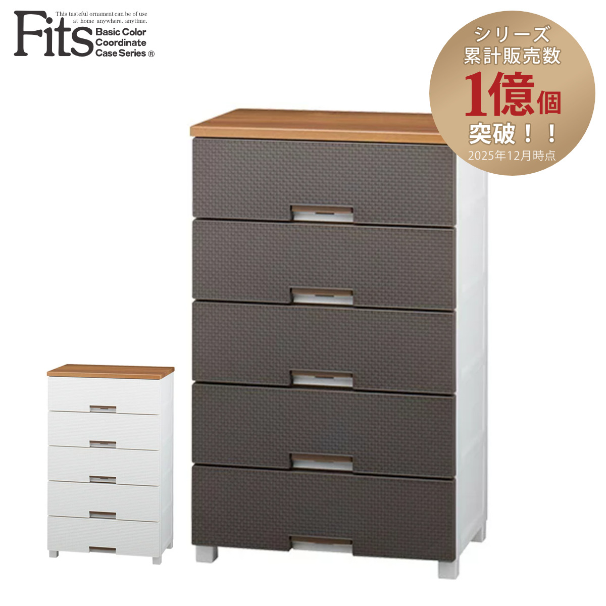 Fits チェスト フィッツプラス メッシュ 5段 幅65×奥行41×高さ105cm