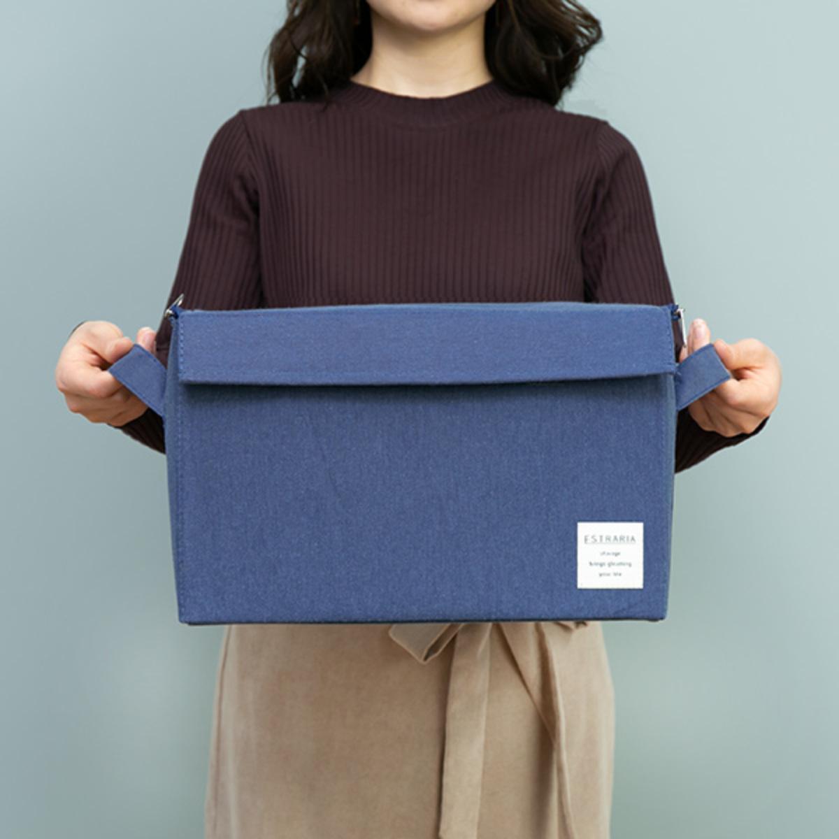 東洋ケース（TOYOCASE） 収納ボックス ストレリアナチュレ M 幅33×奥行