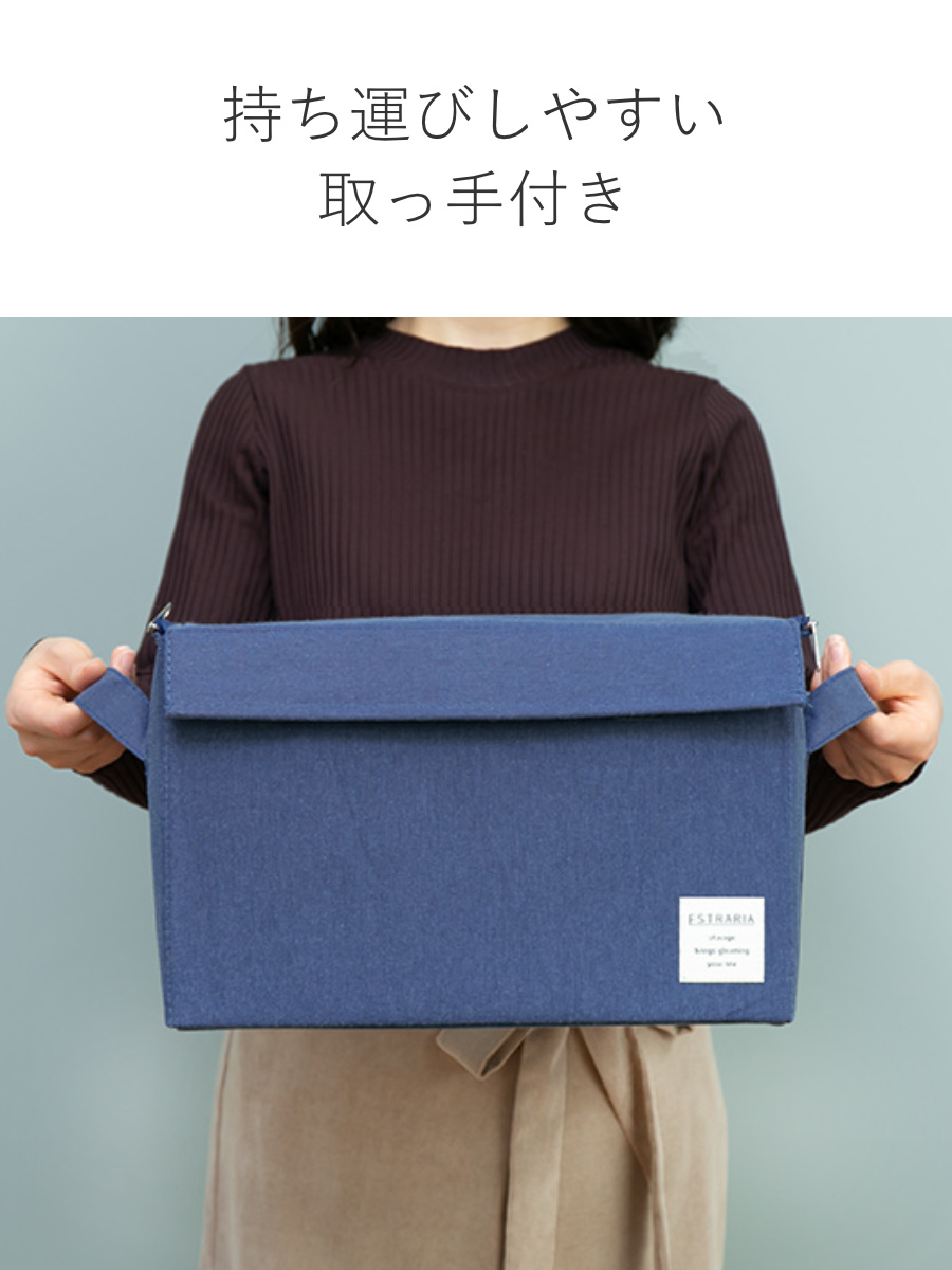 東洋ケース（TOYOCASE） 収納ボックス ストレリアナチュレ M 幅33×奥行