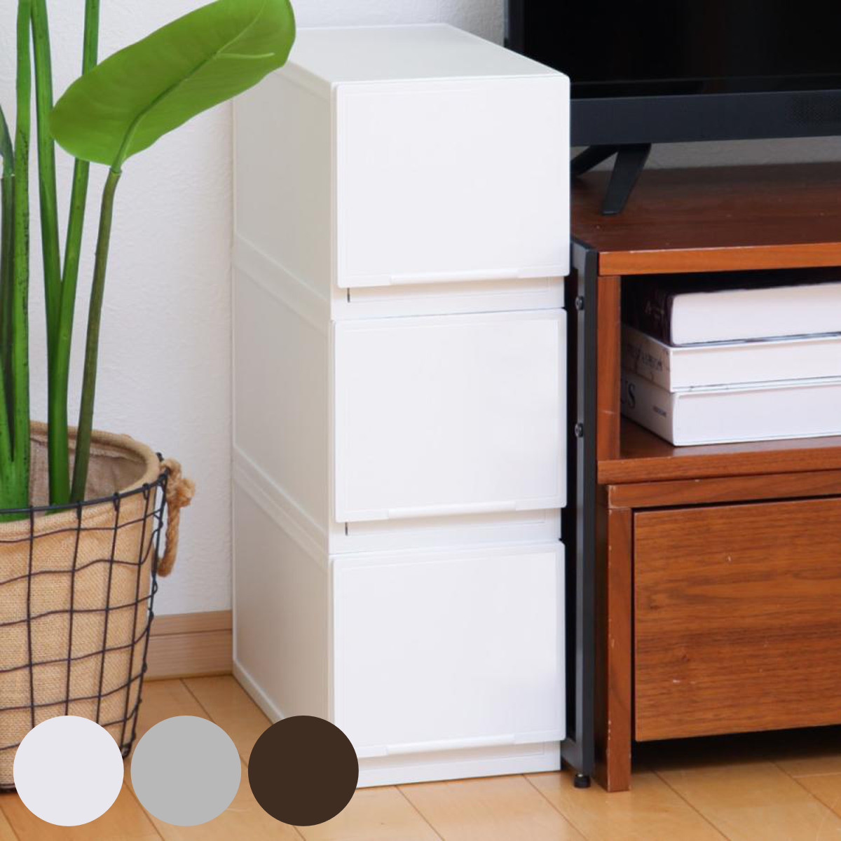 SANKA 収納ケース 幅18.8×奥行35.8×高さ25cm コレクトケース Lスリム 1