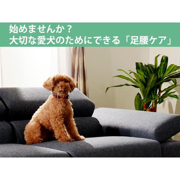 セルタン ドッグステップ 2段 小型犬用 階段型ソファ （ ステップ