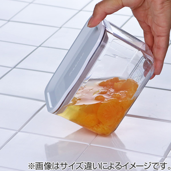 TAKEYA（タケヤ） 保存容器 フレッシュロックコンテナ M 1.0L （ 密閉