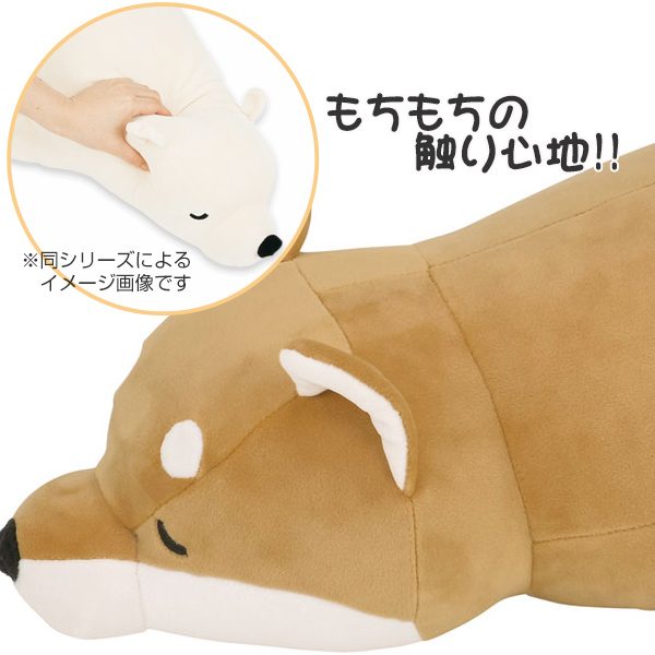 抱き枕 ぬいぐるみ 犬 プレミアムねむねむアニマルズ コタロウ Mサイズ