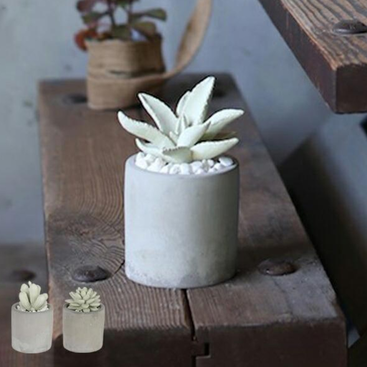 �f�B�t���[�U�[ �_���g�� DULTON �A���G�t���O�����X�f�B�t���[�U�[ �����A�� �A���G �i �F���� ���[���t���O�����X �A���}�f�B�t���[�U�[ �j