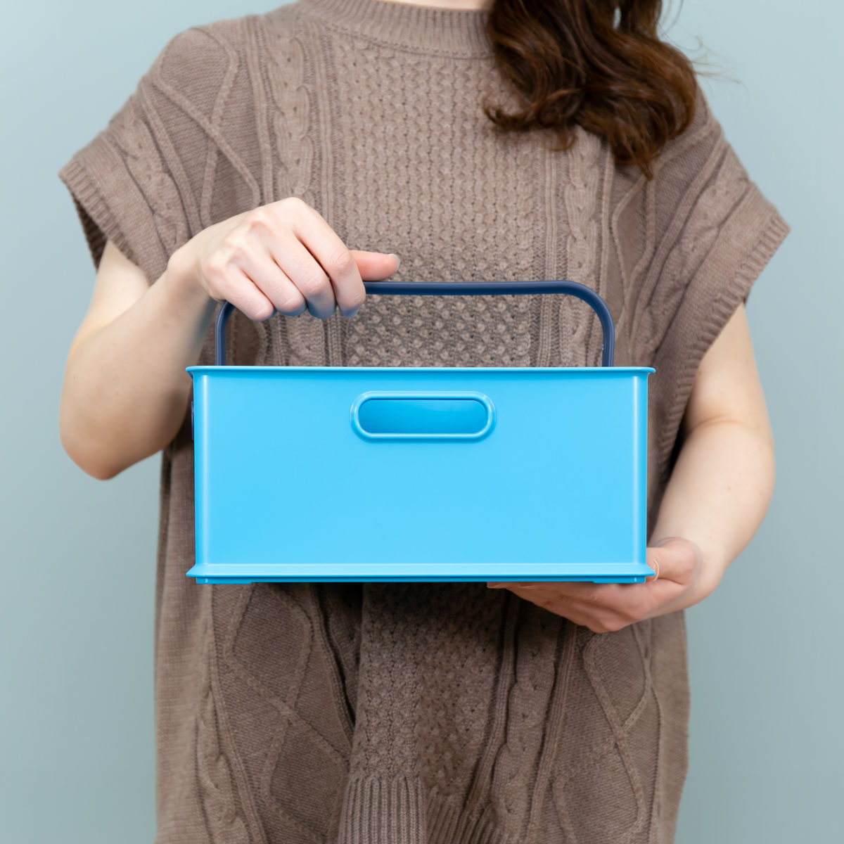 SANKA（サンカ） 収納ボックス 持ち手付き 収納ケース squ+ イン