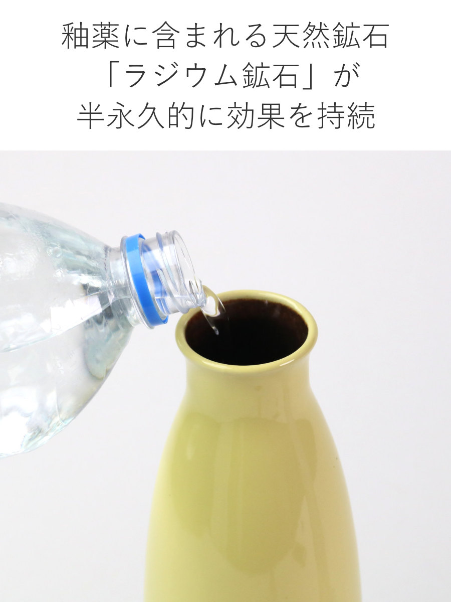 イオンボトル 1L Candy 陶器 信楽焼 日本製 （ ラジウム コップ