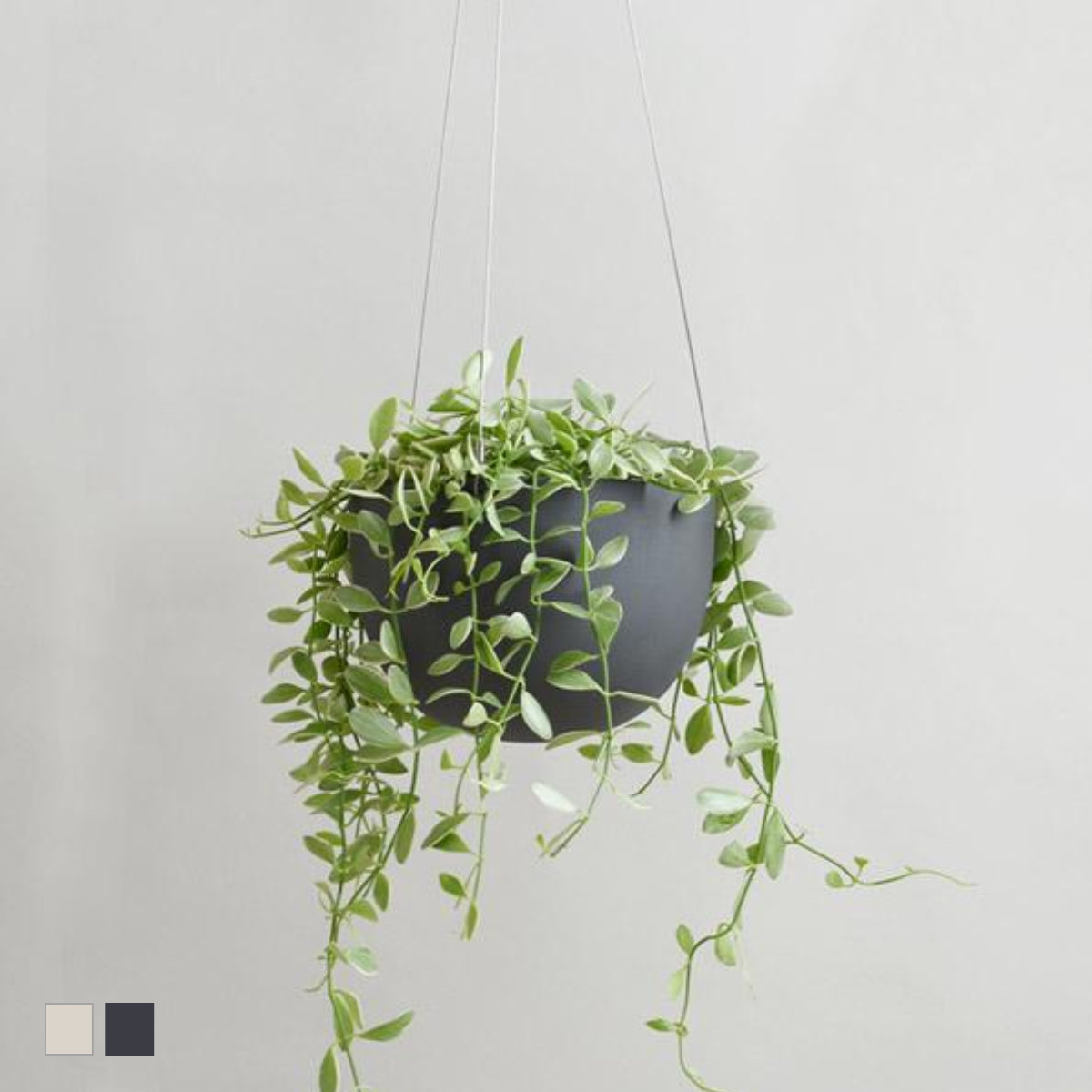 KINTO（キントー） プラントポット 201_ 174mm （ 植木鉢 17.4cm 6号