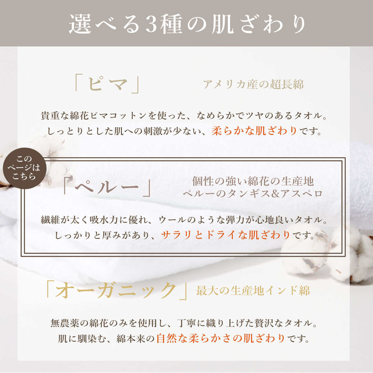 ミニタオル 泉州 18×18cm いとやのタオ...の詳細画像5