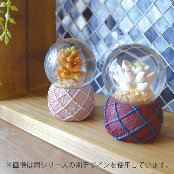 スノードーム テラリウム L 多肉植物 完成品 （ スノーグローブ
