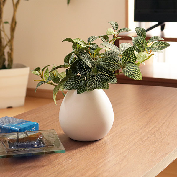 人工観葉植物 フィットニア 18cm フェイクグリーン 造花 光触媒