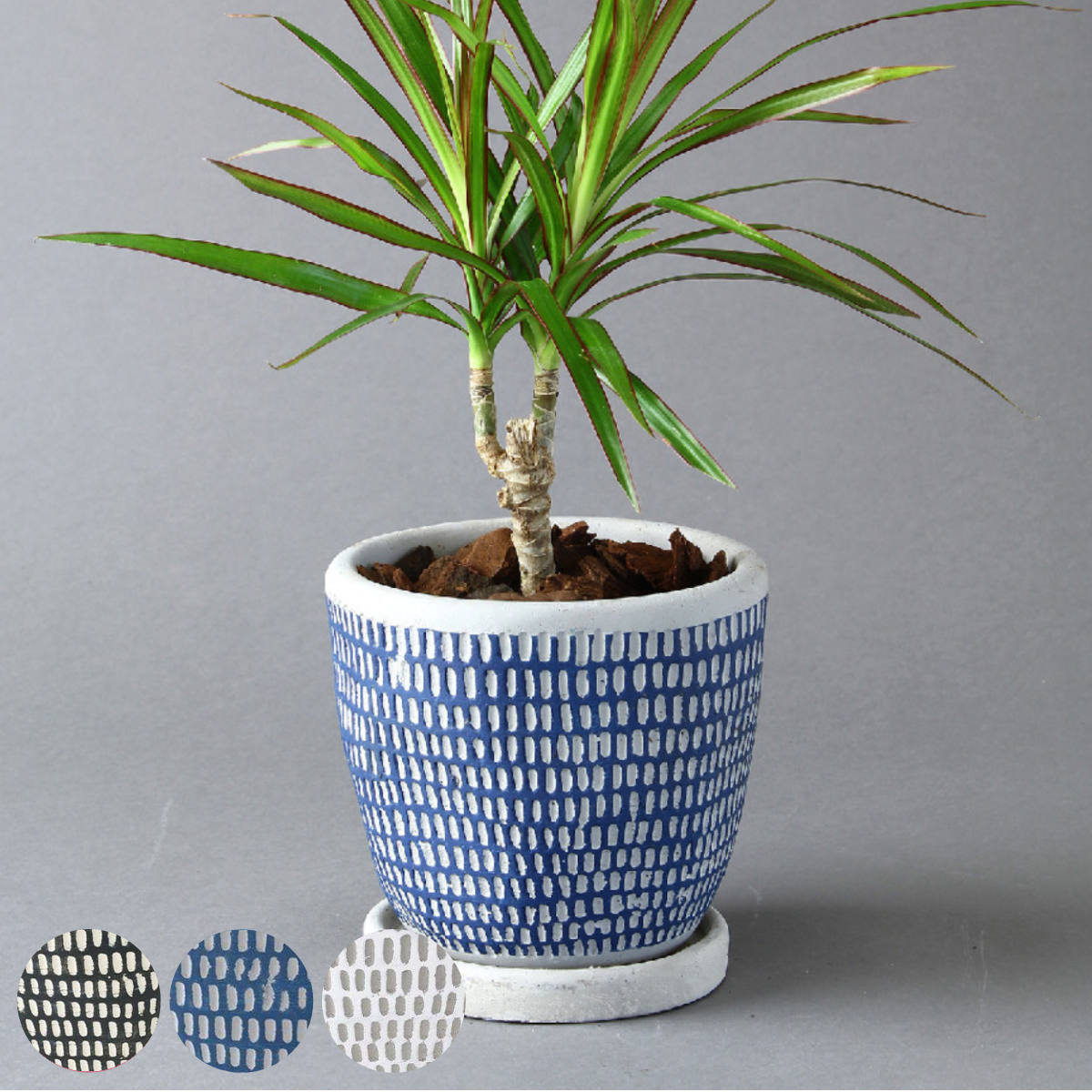 植木鉢 レリーフプランター ドットライン 3号 （ 植木鉢 フラワーポット 鉢植え ）