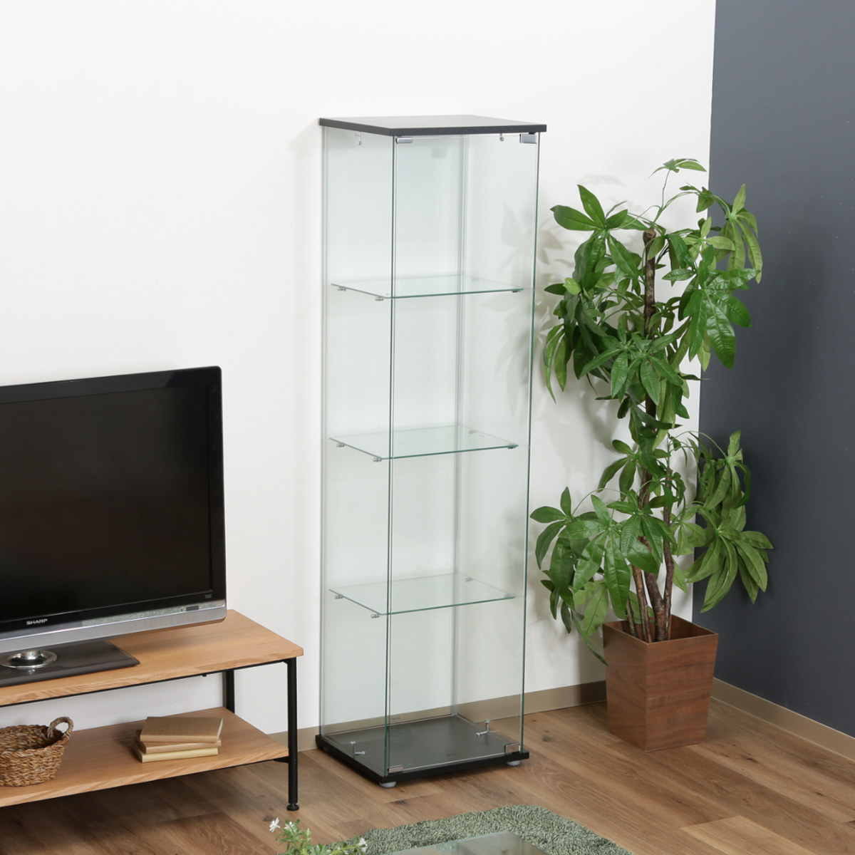 不二貿易（Fuji Boeki） コレクションケース 4段 幅42.5cm 4面ガラス