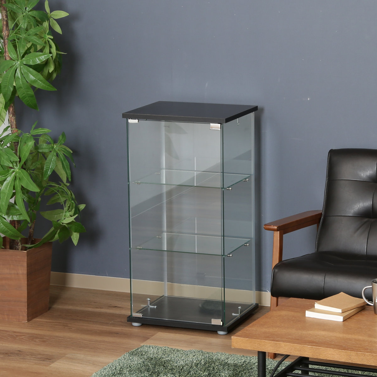 不二貿易（Fuji Boeki） コレクションケース 3段 幅42.5cm 4面ガラス