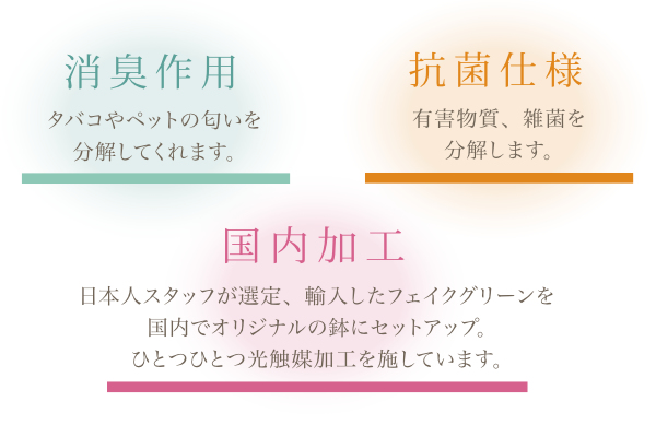 人工観葉植物 ピッチャー ミモザ フェイクグリ...の詳細画像2