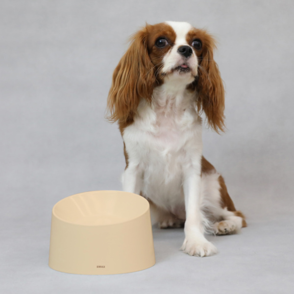 ペット 食器 撥水ペット容器 PeDISH 1 電子レンジ対応 犬 イヌ （ 台 フードボウル 食器台 ペット用品 ）