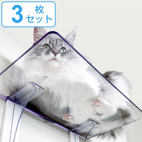 361163.jpg
