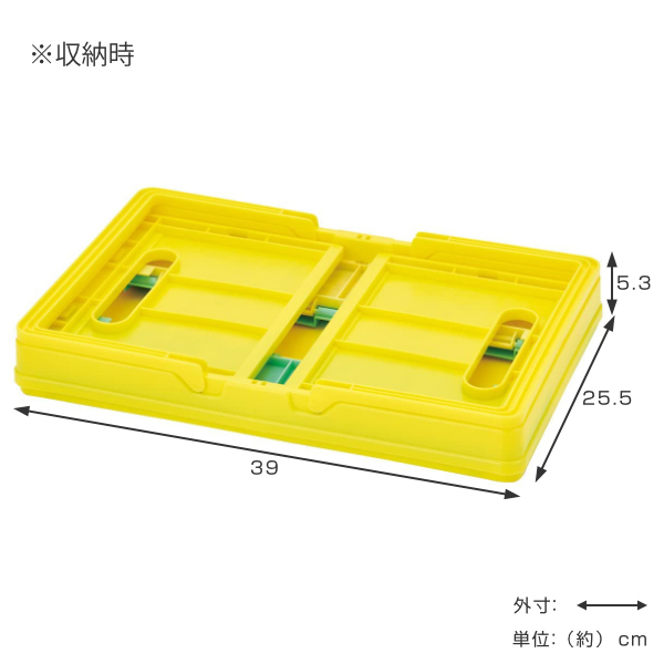 スケーター コンテナ 折りたたみ 収納ボックス ポケットモンスター