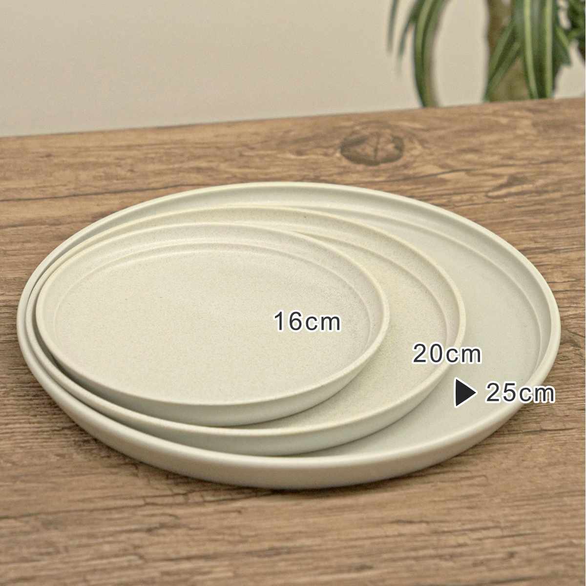KINTO（キントー） FOG プレート 250mm （ 25cm 磁器 食洗機対応 電子