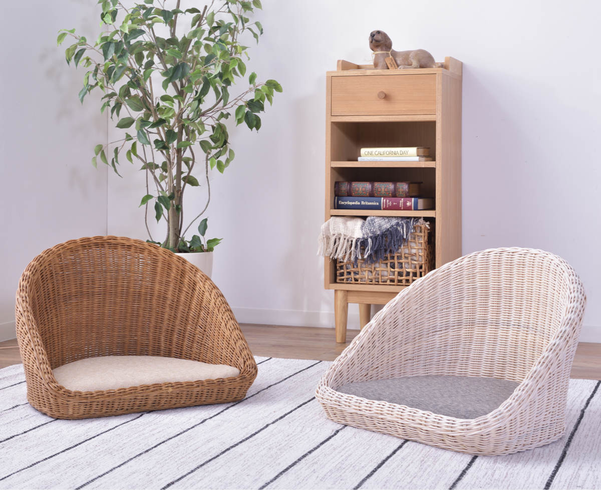 東谷 籐 フロアチェア クッション付 幅53cm （ 座椅子 一人掛け 1人