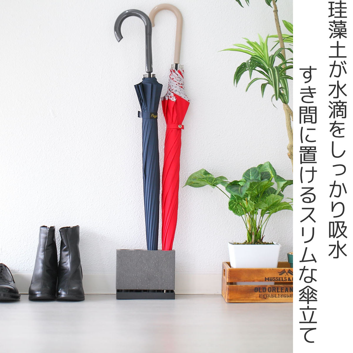 karari 傘立て スリム 珪藻土 4本用 ...の詳細画像1