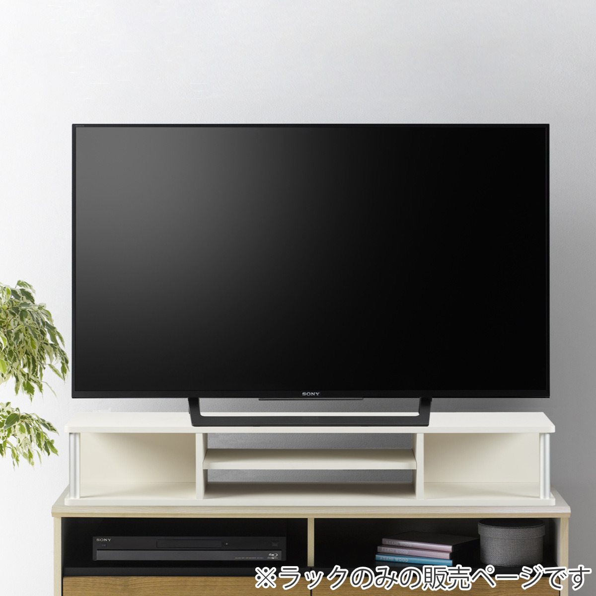 朝日木材加工 ちょい足しラック 幅110cm 2段タイプ テレビ台 AVボード