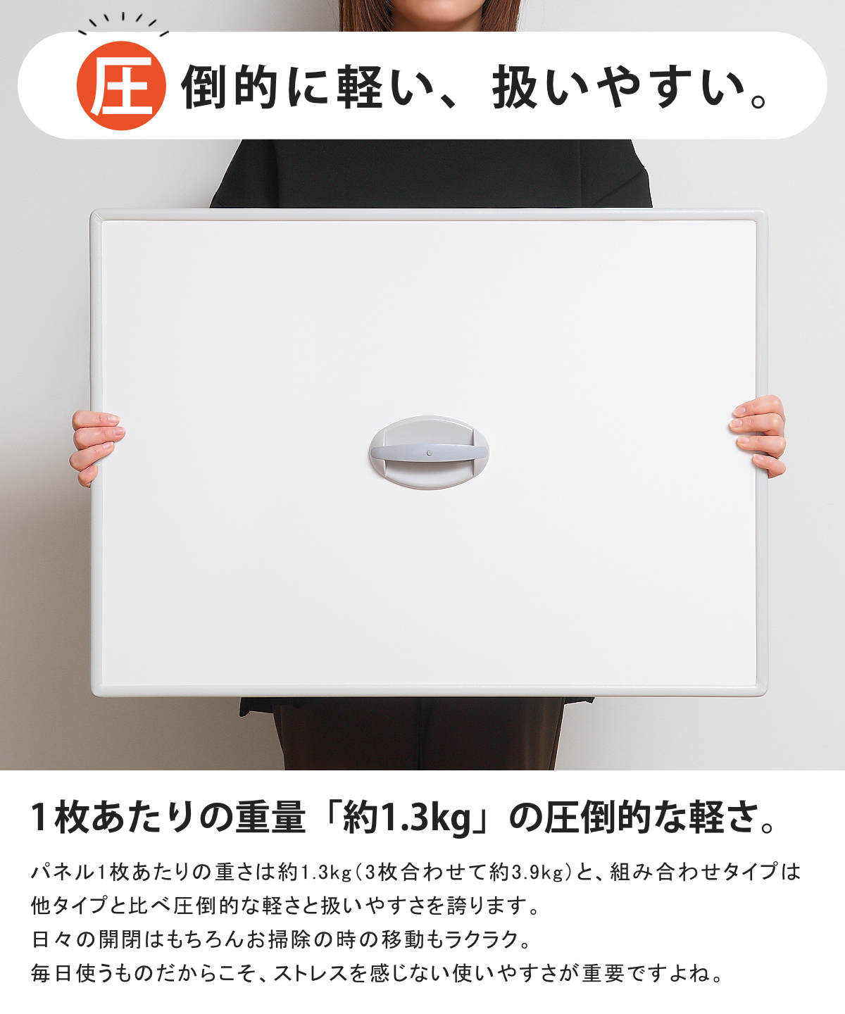 東プレ 特典付き 風呂ふた 組み合わせ 75×160cm 用 取っ手付き L16 3枚