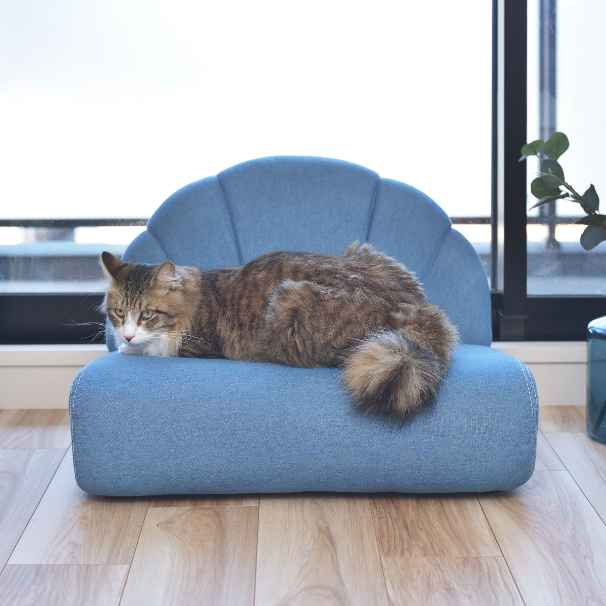 東谷 ペットソファ 幅59cm ファブリック 貝殻 （ ペットベッド 座椅子