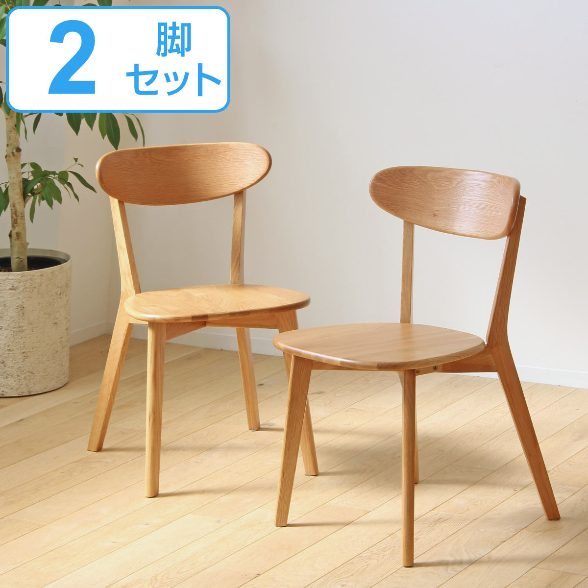 岩附 ダイニングチェア 2脚セット 座面高43cm リバー 木製 天然木