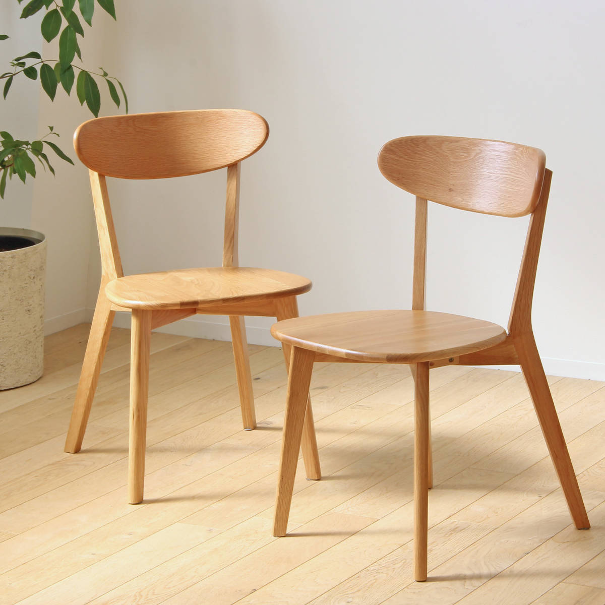 岩附 ダイニングチェア 2脚セット 座面高43cm リバー 木製 天然木