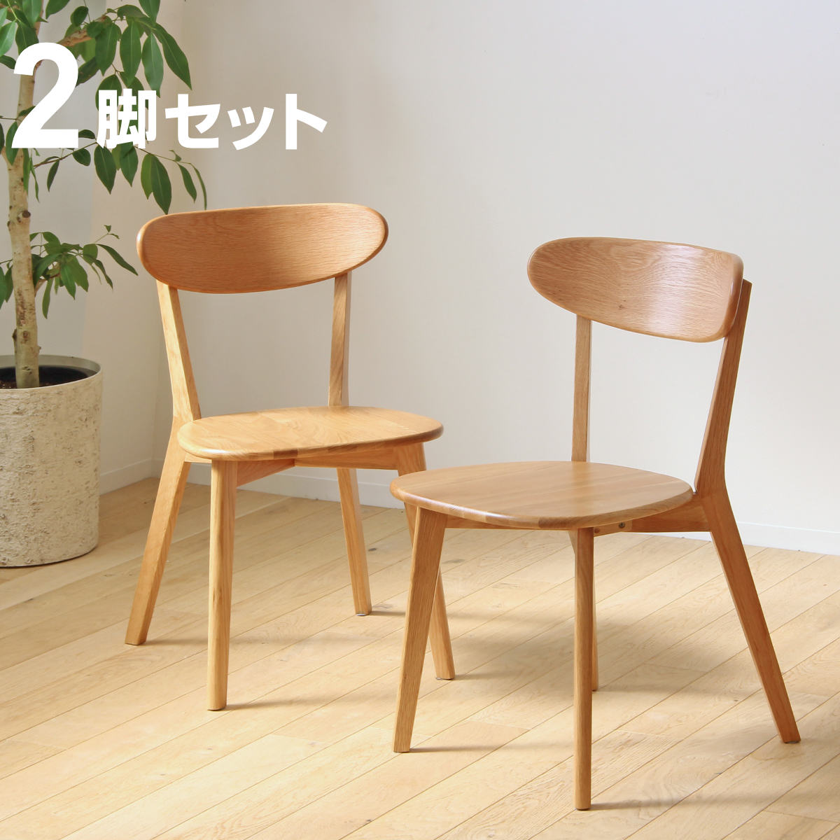 岩附 ダイニングチェア 2脚セット 座面高43cm リバー 木製 天然木