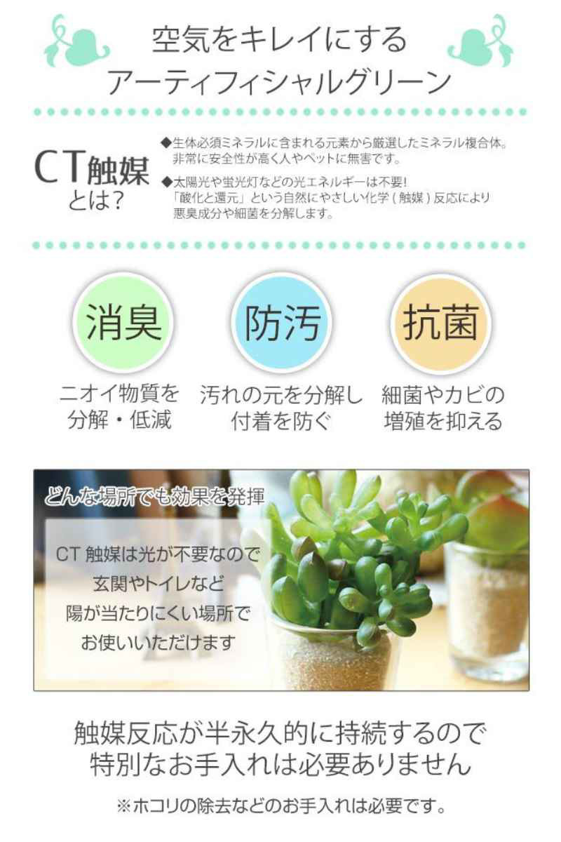 フェイクグリーン エクリア 消臭アーティフィシ...の詳細画像3