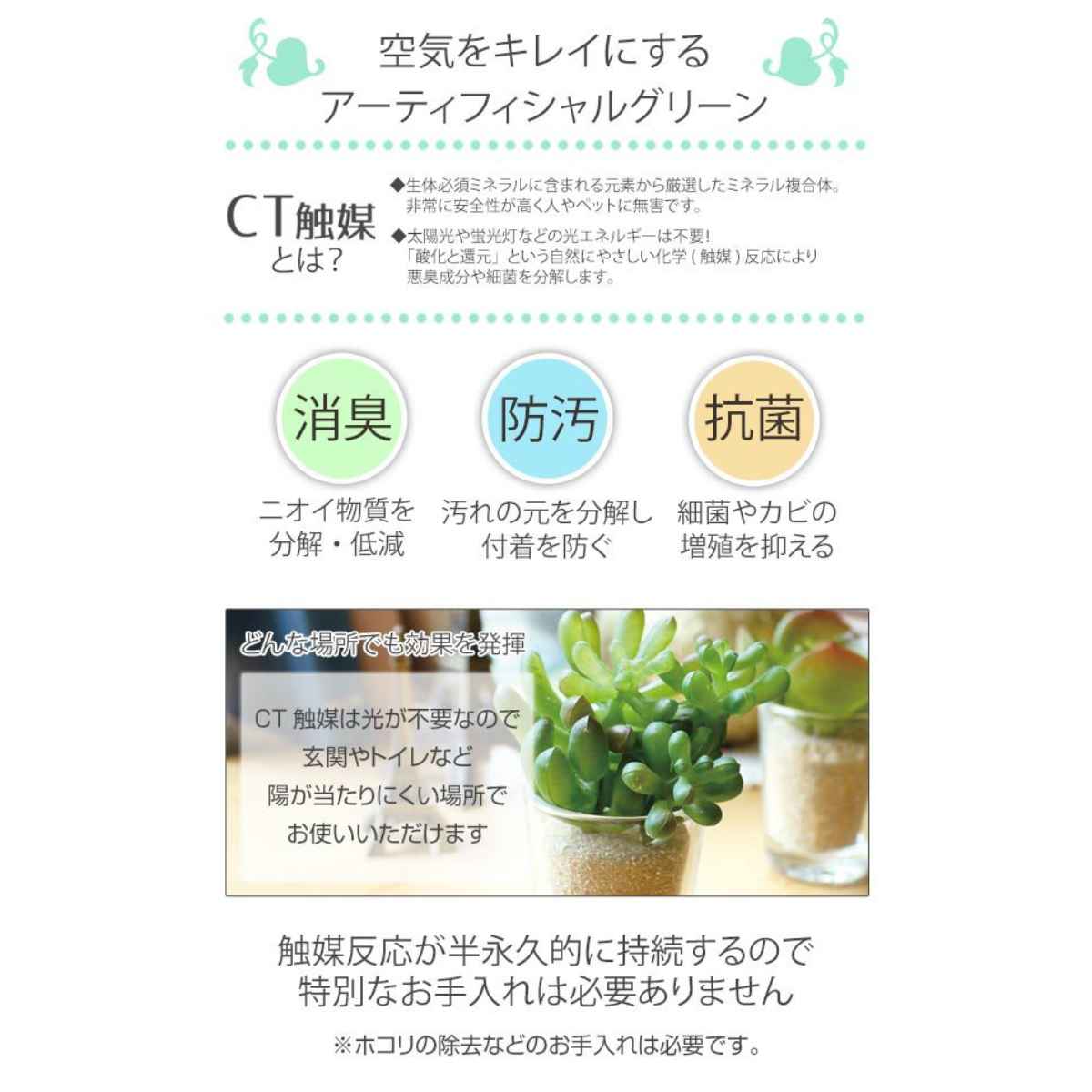 フェイクグリーン エクリア消臭アーティフィシャ...の詳細画像4