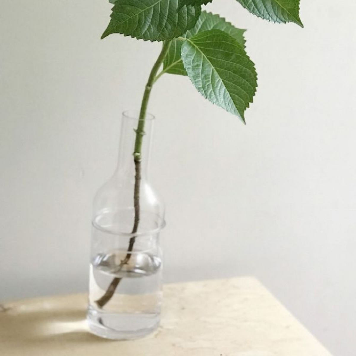 花瓶 LABO GLASS ボトルフラワーベース 2WAY Mサイズ