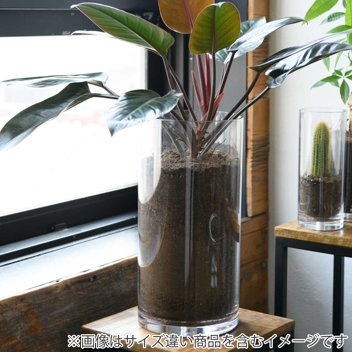 花瓶 割れないガラス PVシリンダー 直径15×高さ40cm （ 花びん 花器 シリンダー フラワーベース 透明 割れない ベース フラワー 花 飾る ）_14