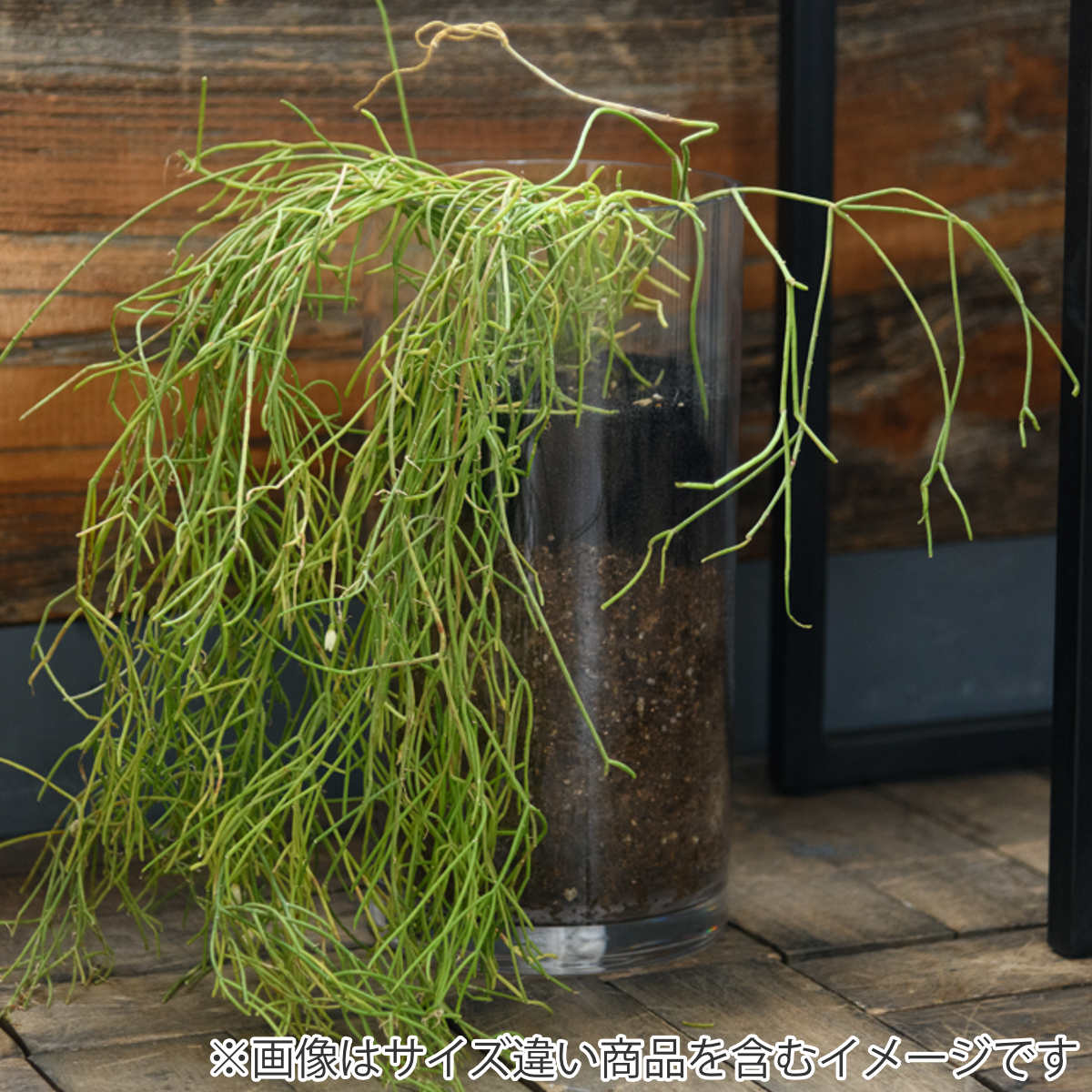 花瓶 割れないガラス PVシリンダー 直径15×高さ40cm （ 花びん 花器 シリンダー フラワーベース 透明 割れない ベース フラワー 花 飾る ）_16