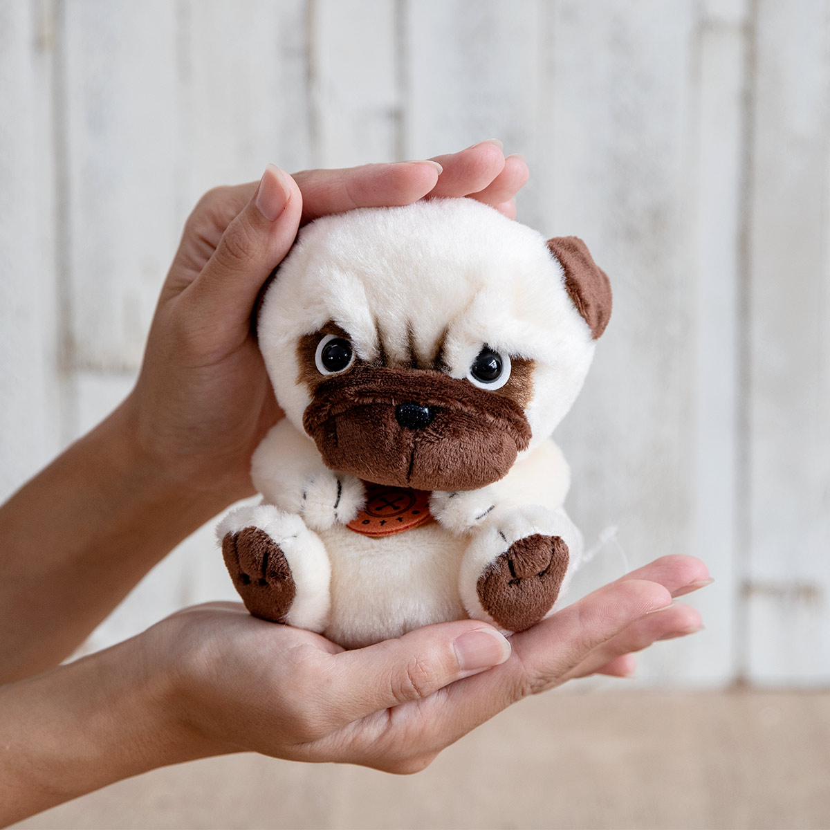 ぬいぐるみ potte パグ （ ヌイグルミ 犬 ぱぐ 動物 雑貨 インテリア