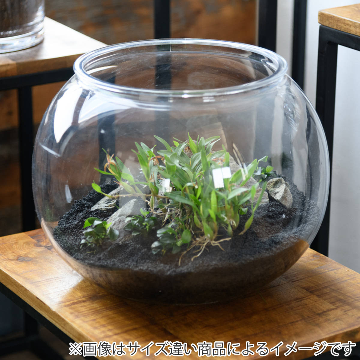 花瓶 割れないガラス PV球形 直径60×高さ45cm （ 花びん 花器 フラワー